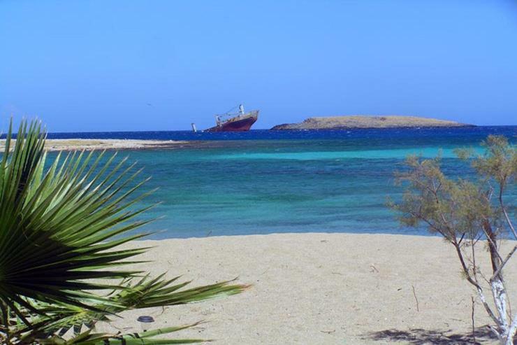 Sempreviva Sea *